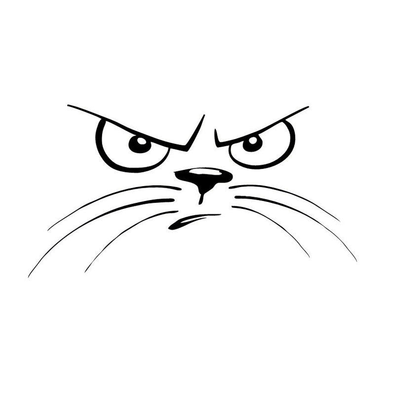 J-078 Not Happy Cat Face Animal Car Stickers