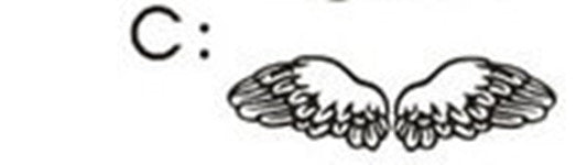 Angel Wings Car Sticker Wings Romantic Car Sticker