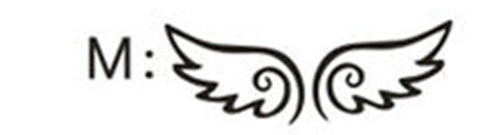 Angel Wings Car Sticker Wings Romantic Car Sticker